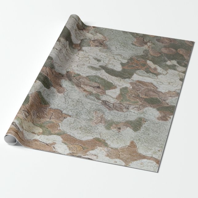 Papel De Presente Plane tree camouflage looks bark pattern (Desenrolado)