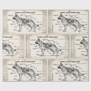 Papel De Presente Plano de Cachorro Pastor Alemão