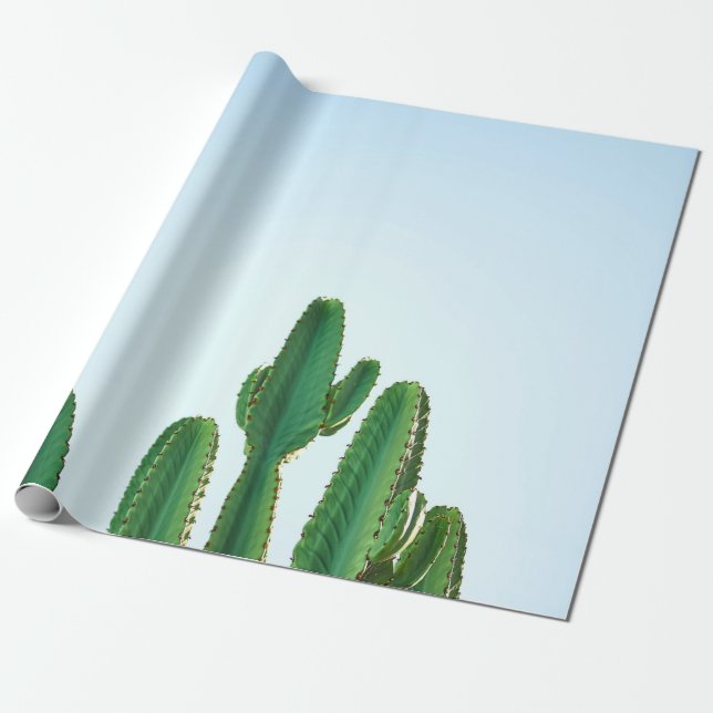 Papel De Presente Planta de cacto verde em fundo branco (Desenrolado)