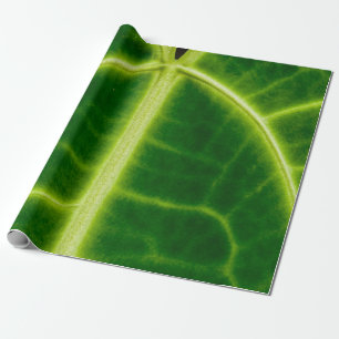 Papel De Presente Planta de folhas verdes