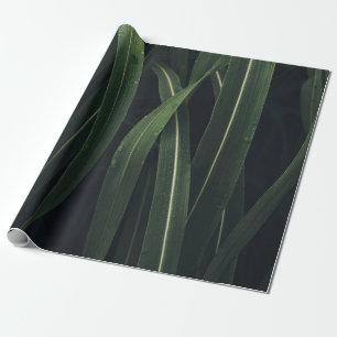 PAPEL DE PRESENTE PLANTA VERDE