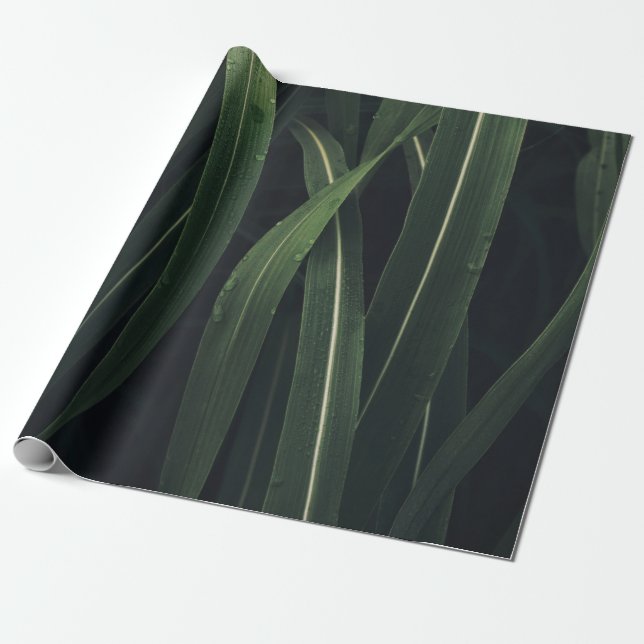 PAPEL DE PRESENTE PLANTA VERDE (Desenrolado)