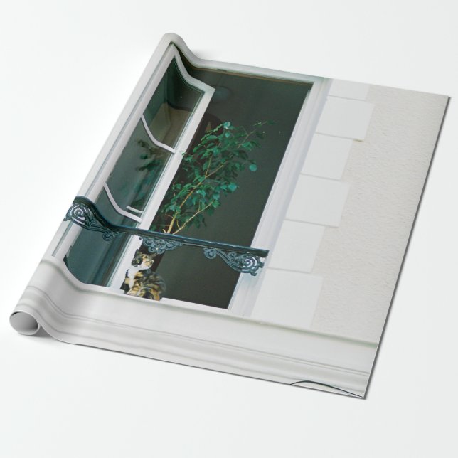 PAPEL DE PRESENTE PLANTA VERDE NA JANELA BRANCA (Desenrolado)