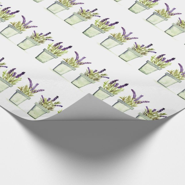 Papel De Presente Plantas aromáticas de lavanda com aquarela Elegant (Ponta)