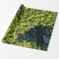 Plantas de folhas verdes