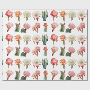 Papel De Presente Plantas suculentas e sangrentas