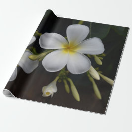 Papel De Presente Plumeria branco e amarelo