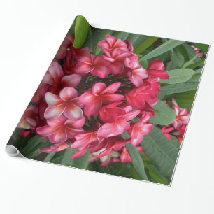 Papel De Presente Plumeria havaiano