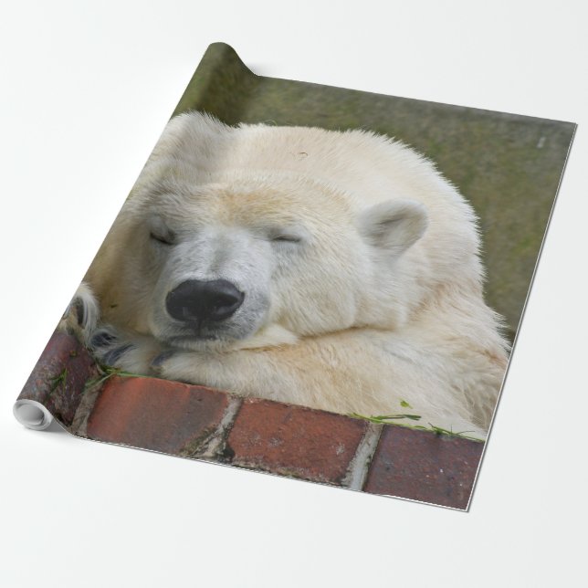 Papel De Presente PolarBear20150501 (Desenrolado)