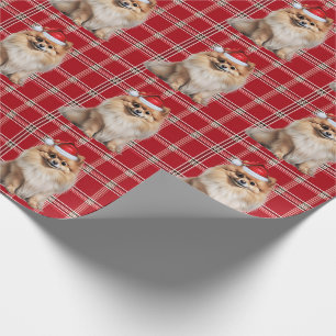 Papel De Presente Pomerânia Férias Xadrez Natal