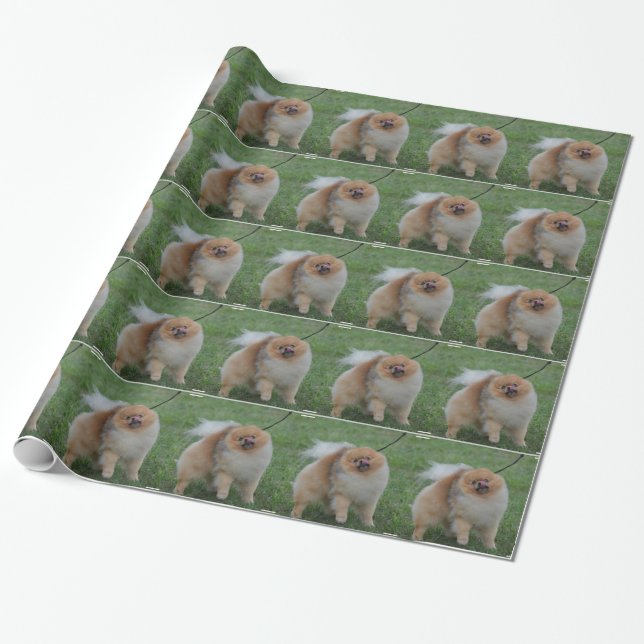 Papel De Presente Pomeranian bonito (Desenrolado)