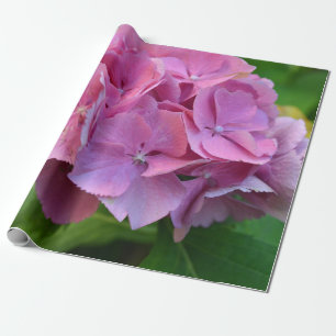 Papel De Presente Pompom Rosa Hidrangea Hortensia Flor