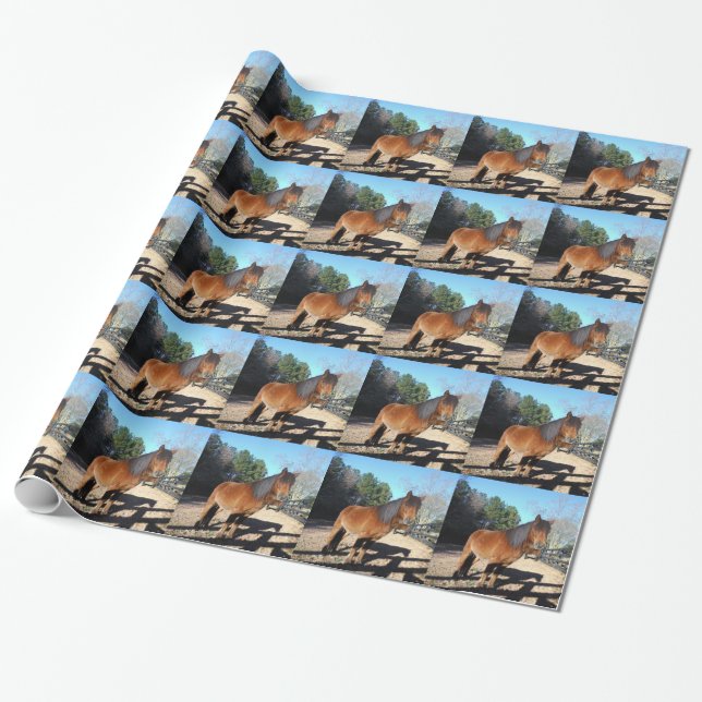 Papel De Presente Pônei marrom céu turquesa (Desenrolado)