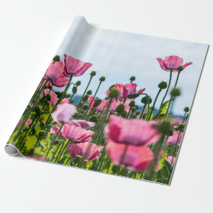 Papel De Presente Poppies Rosa