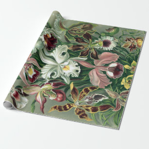 Papel De Presente Poster de Litografia Colorida da Orquídea Heckel 