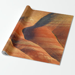 Papel De Presente Pré-histórico