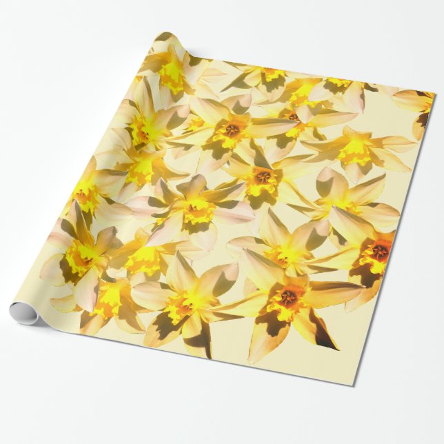 Papel De Presente Presente de Foto de Flores de Narcisos da Primaver (Desenrolado)