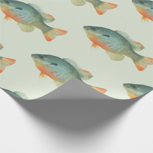 Papel De Presente Presente dos peixes da vara do Sunfish do Bluegill