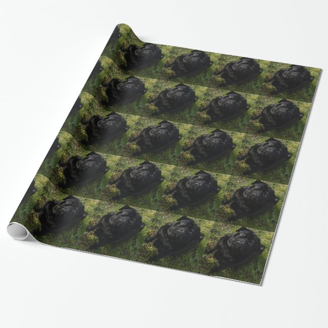 Papel De Presente preto-pug full.png (Desenrolado)