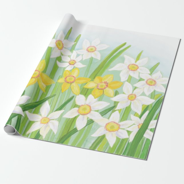 Papel De Presente Primavera Daffodils (Desenrolado)