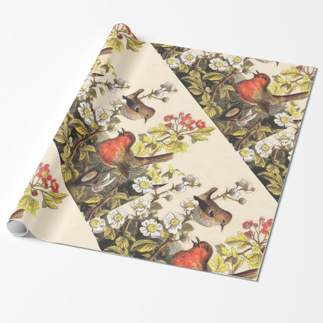 Papel De Presente Primavera Robin Birds Red Birds (Desenrolado)