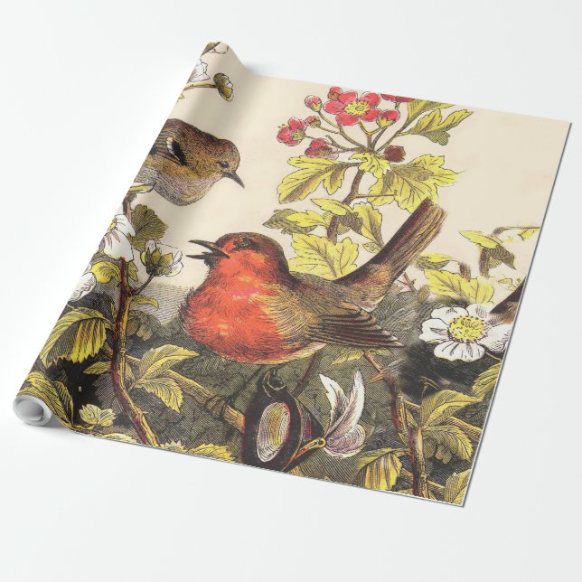 Papel De Presente Primavera Robin Birds Red Birds (Desenrolado)