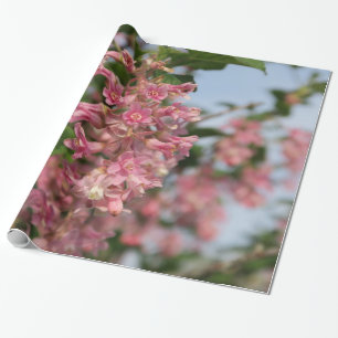Papel De Presente primavera rosa