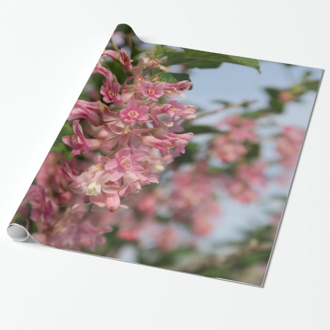 Papel De Presente primavera rosa (Desenrolado)