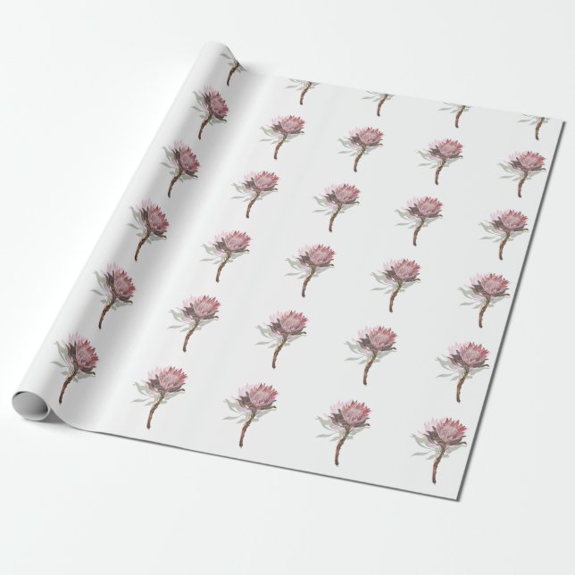 Papel De Presente protea flowers (Desenrolado)