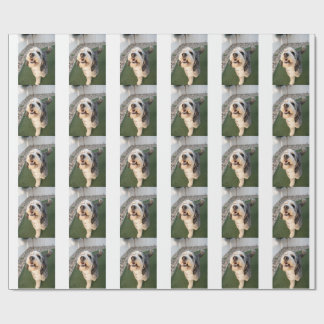 Papel De Presente Pupper Socks