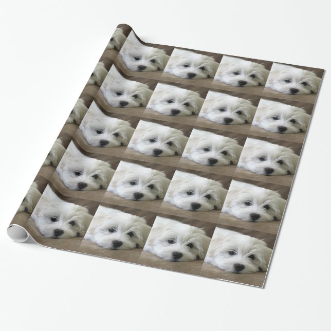 Papel De Presente Puppy Eyes (Desenrolado)