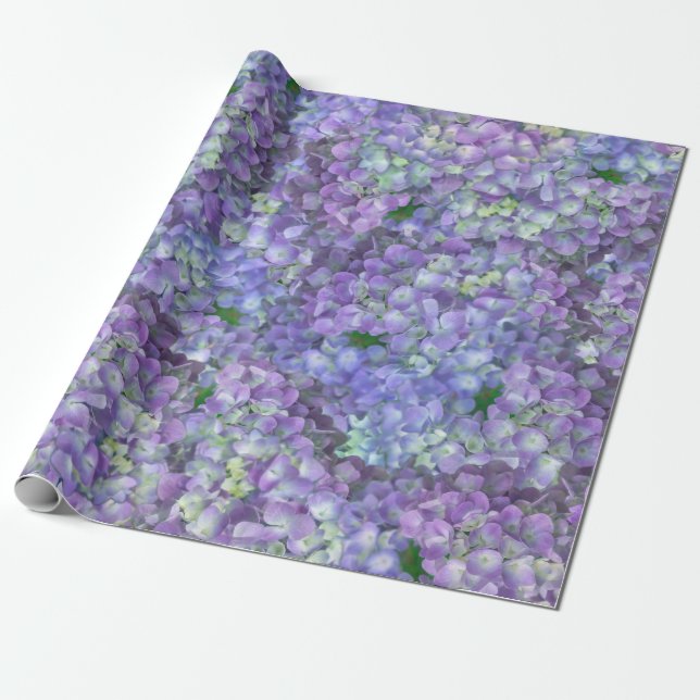 Papel De Presente Purple hydrangea flowers (Desenrolado)