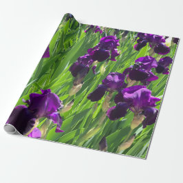 Papel De Presente Purple Iris