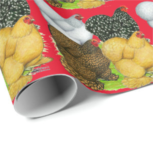 Papel De Presente Quatro galinhas de Cochin
