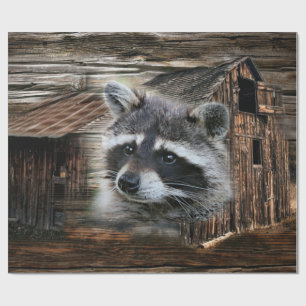 Papel De Presente Raccoon No Velho Barn