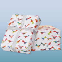 Rainbow Bird
