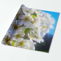 Ramal brilhante de uma pera