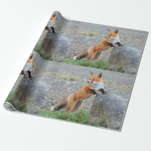 Papel De Presente Raposa Vermelha Permanente