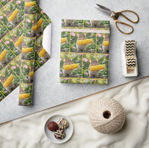 Papel De Presente Rato Comendo Milho na Espiga