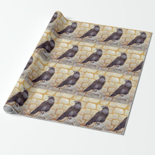 Papel De Presente Raven