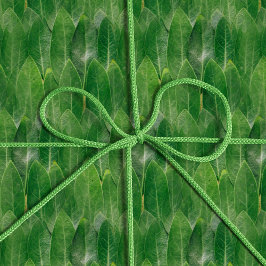 Papel De Presente Realista Deixa Verde Brilhante Textura Fotográfica