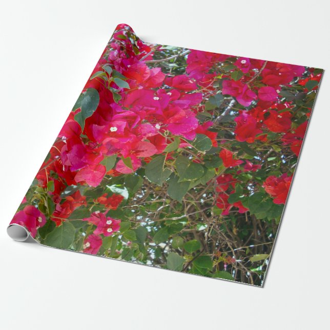 Papel De Presente Red Bougainvillea (Desenrolado)