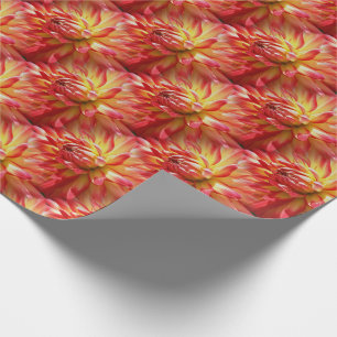 Papel De Presente Red Dahlia Flower Pattern Nature