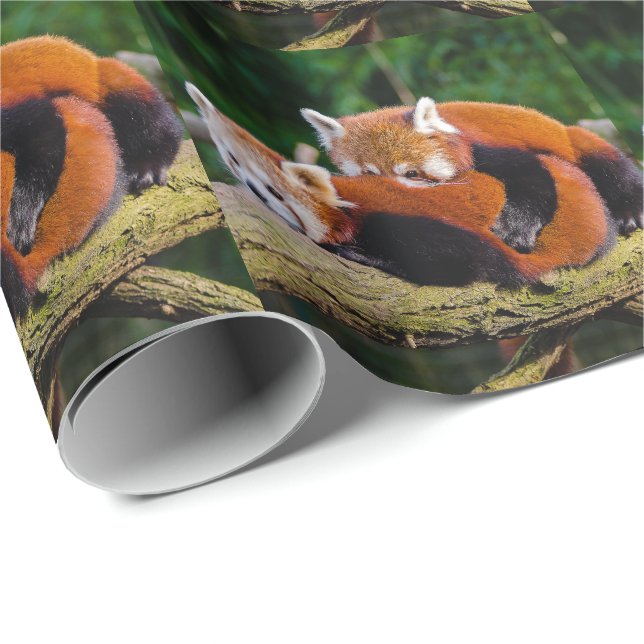 Papel De Presente Red Pandas (Ponta do rolo)