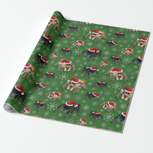 Papel De Presente Regal Jumping Spider Phiddipus Regius Holiday Moss