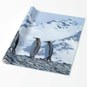 Papel De Presente Rei Pinguins na Geórgia do Sul