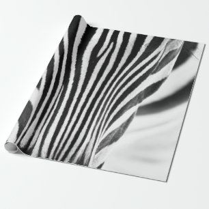 Papel De Presente Retrato artístico preto-e-branco de um zebo