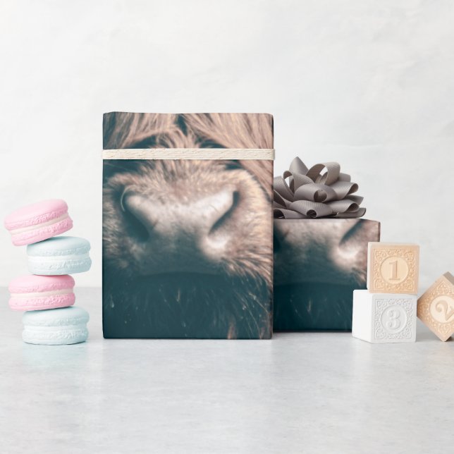 Papel De Presente Retrato das vacas do planalto (Chá de bebê)