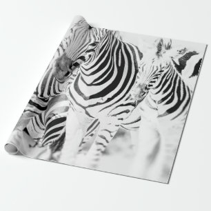 Papel De Presente retrato de grupo de zebra monocromática, Nat sul-a