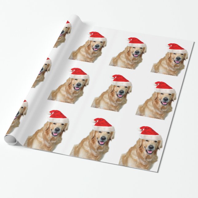 Papel De Presente Retriever de ouro (Desenrolado)